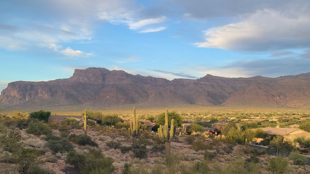 Photo of Others in Gold Canyon