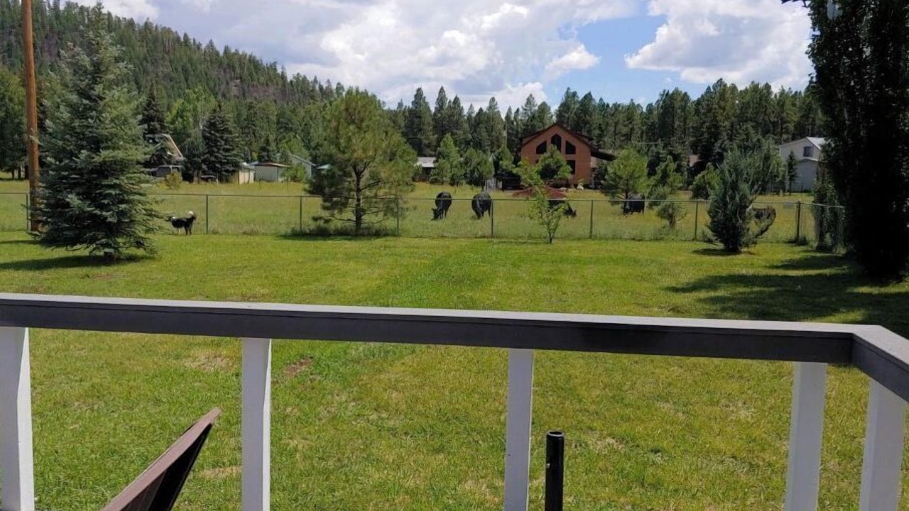 Photo of Outdoor in Pinetop