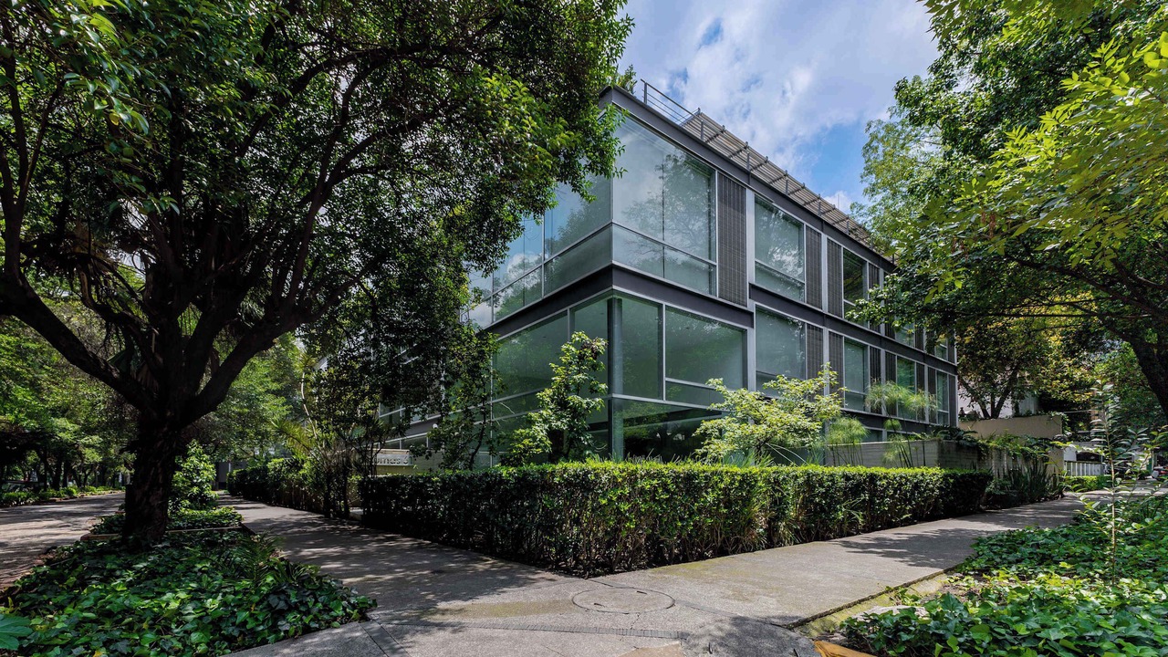 Photo of Outdoor in Polanco