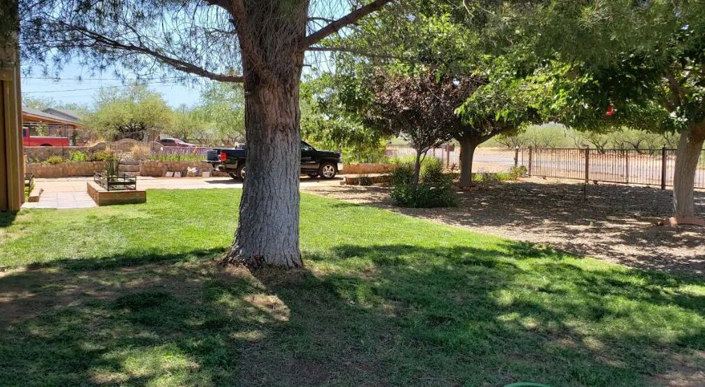 Photo of Outdoor in Rio Rico