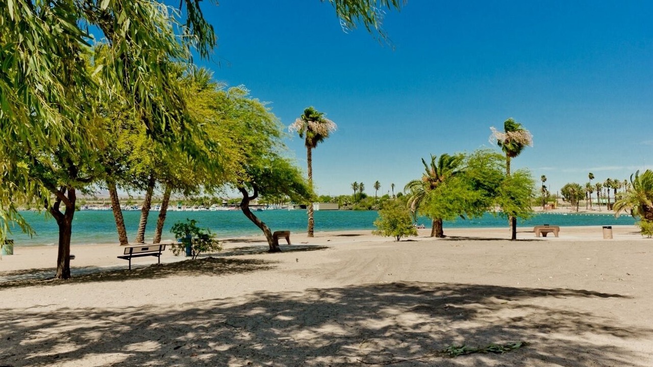 Photo of Others in Lake Havasu City
