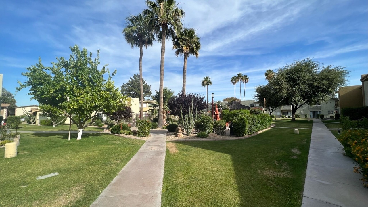 Photo of Outdoor in Pavoreal