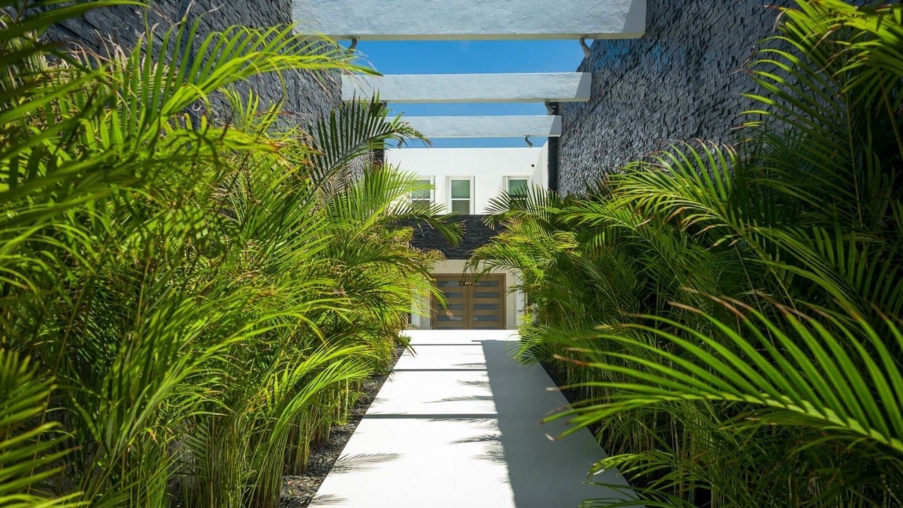 Photo of Outdoor in Pedregal