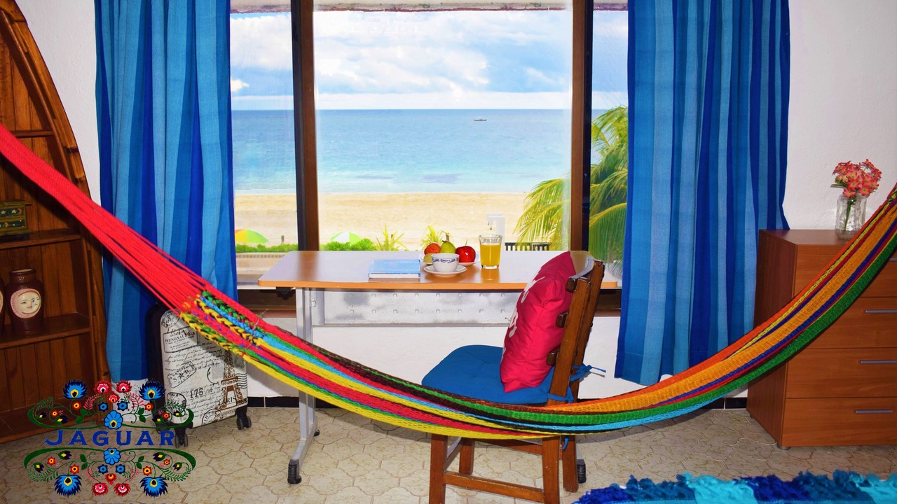 Photo of Others in Puerto Morelos