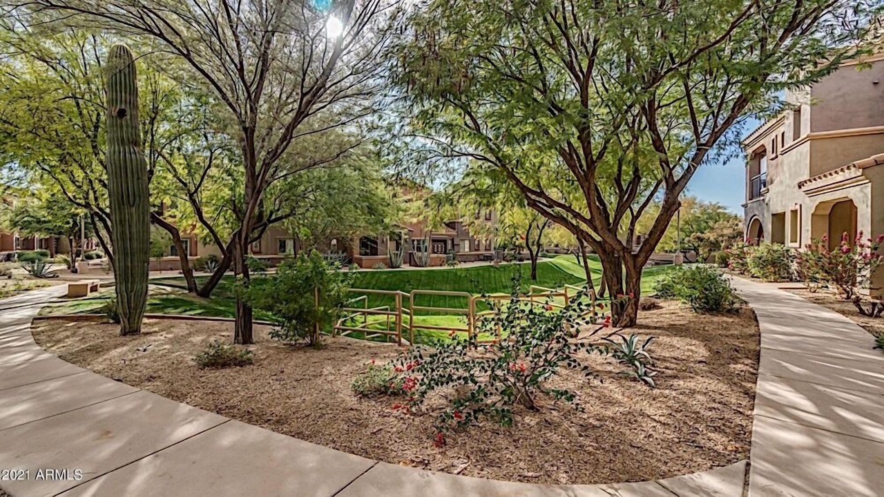 Photo of Outdoor in Desert Ridge