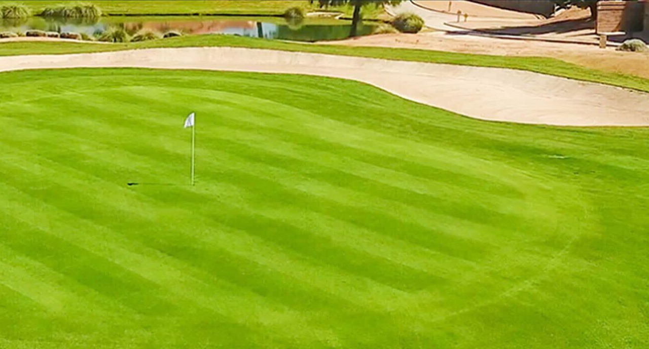 Photo of Others in Sun City West