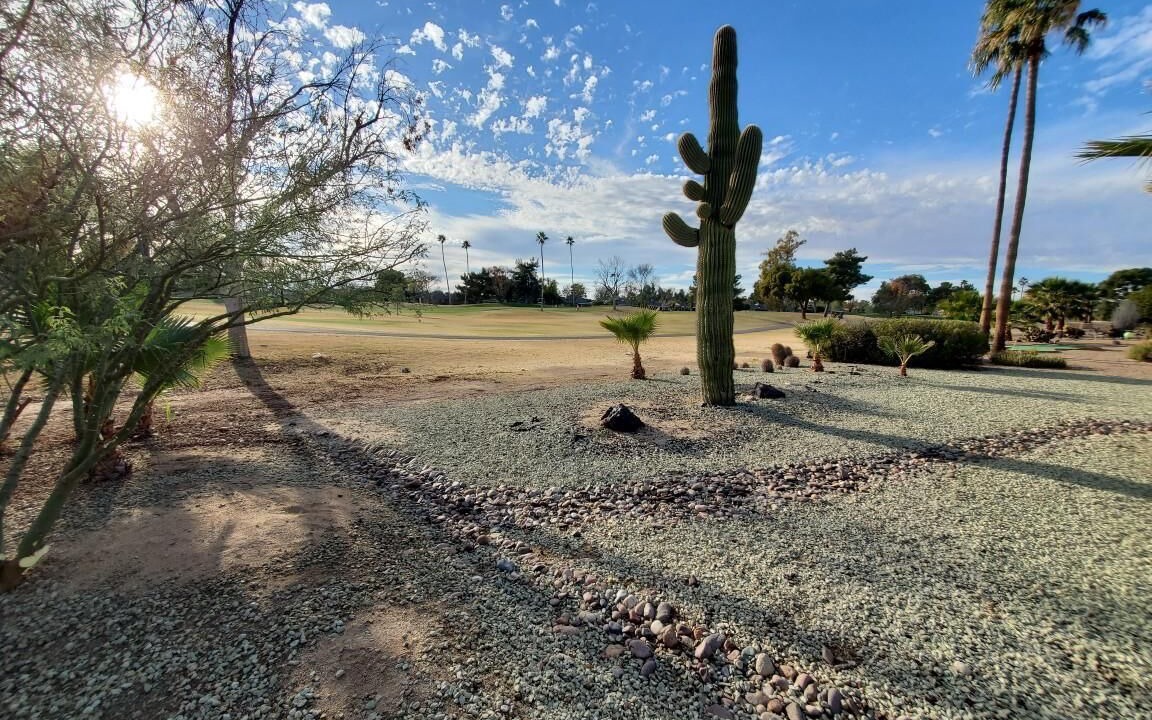 Photo of Outdoor in Sun City West