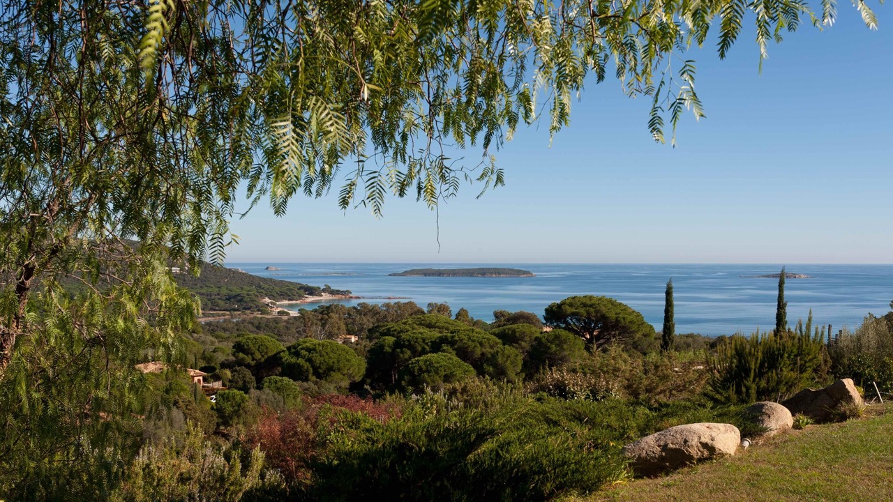 Photo of Outdoor in Hameau de Palombaggia