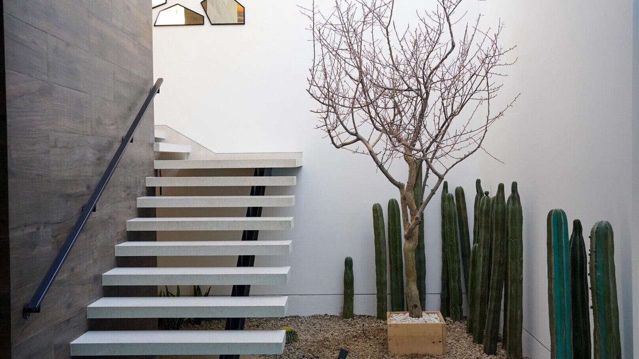 Photo of Others in Pedregal