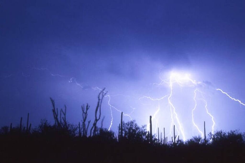 Photo of Others in Tucson Estates