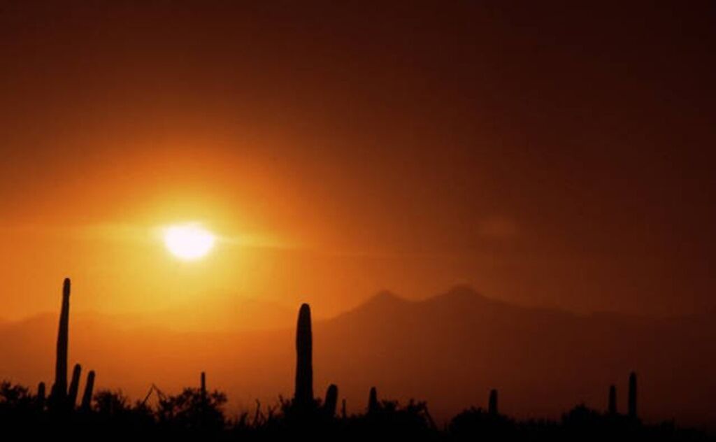 Photo of Others in Tucson Estates