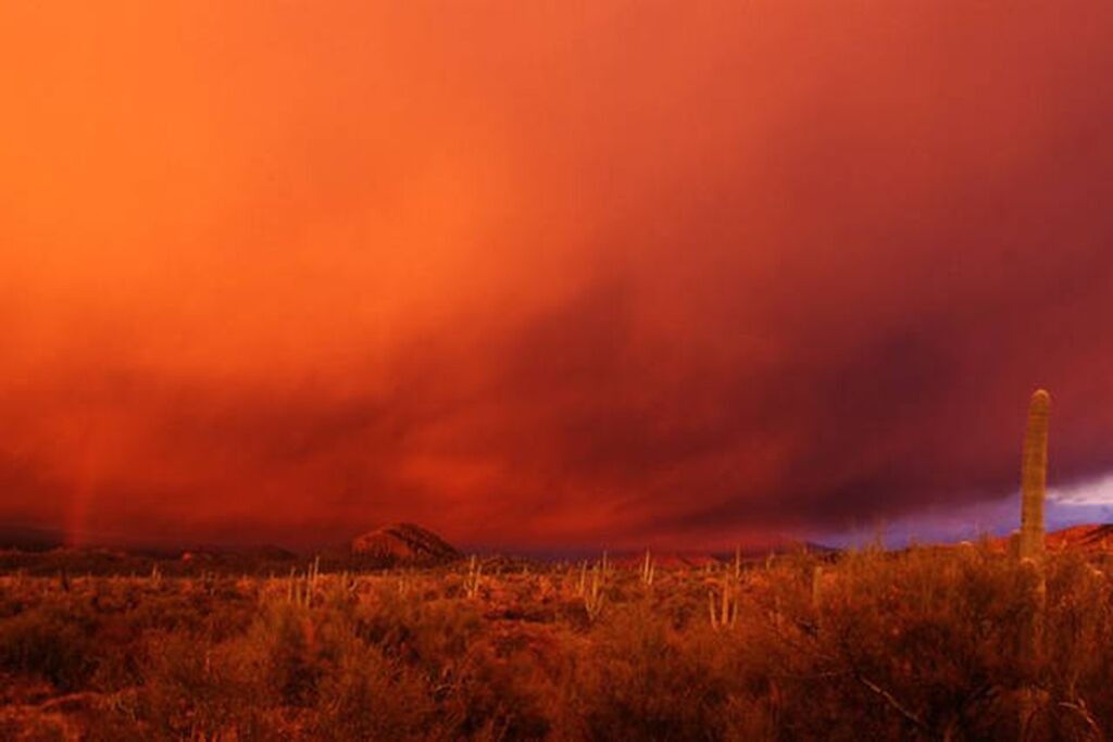 Photo of Others in Tucson Estates