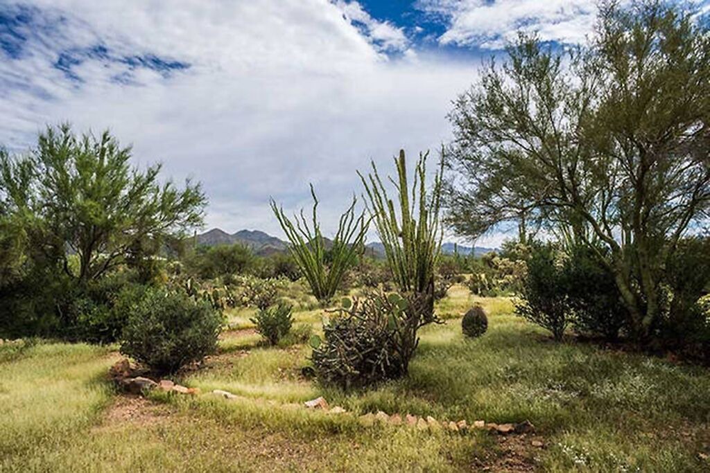 Photo of Others in Tucson Estates