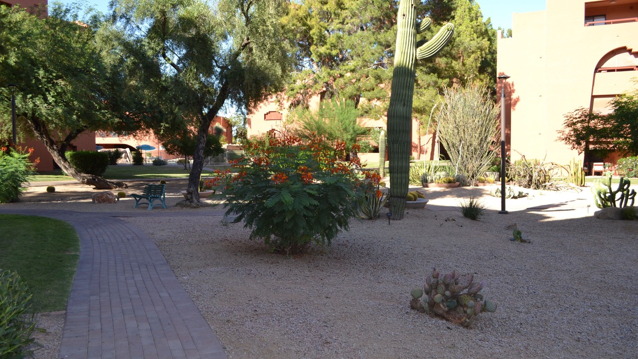Photo of Outdoor in Paradise Valley Village
