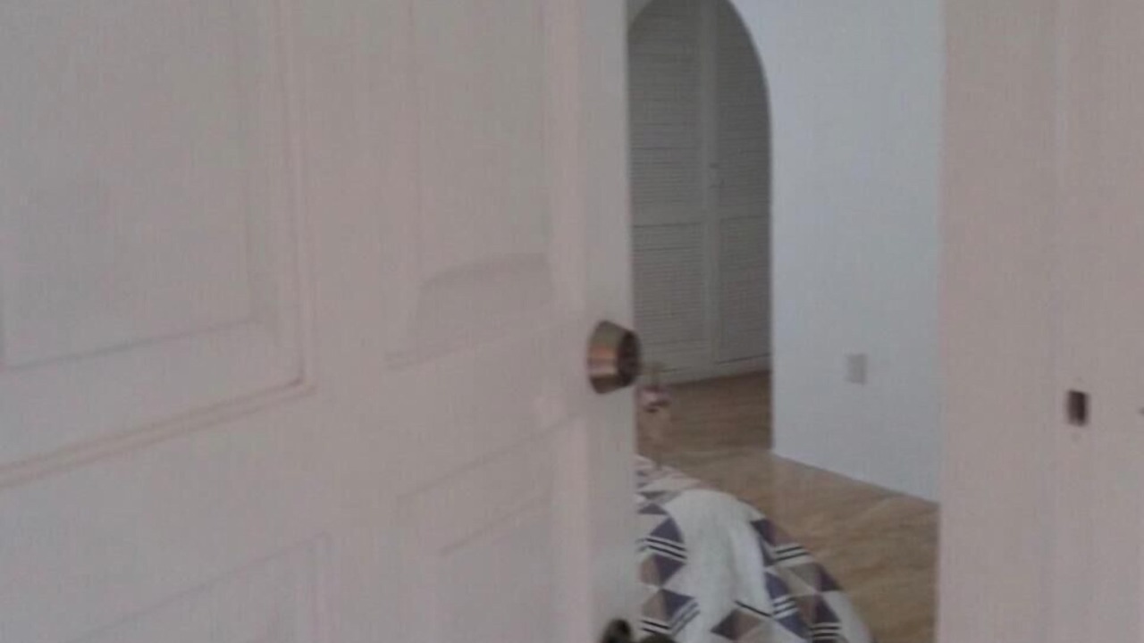 Photo of Others in Zona Hotelera