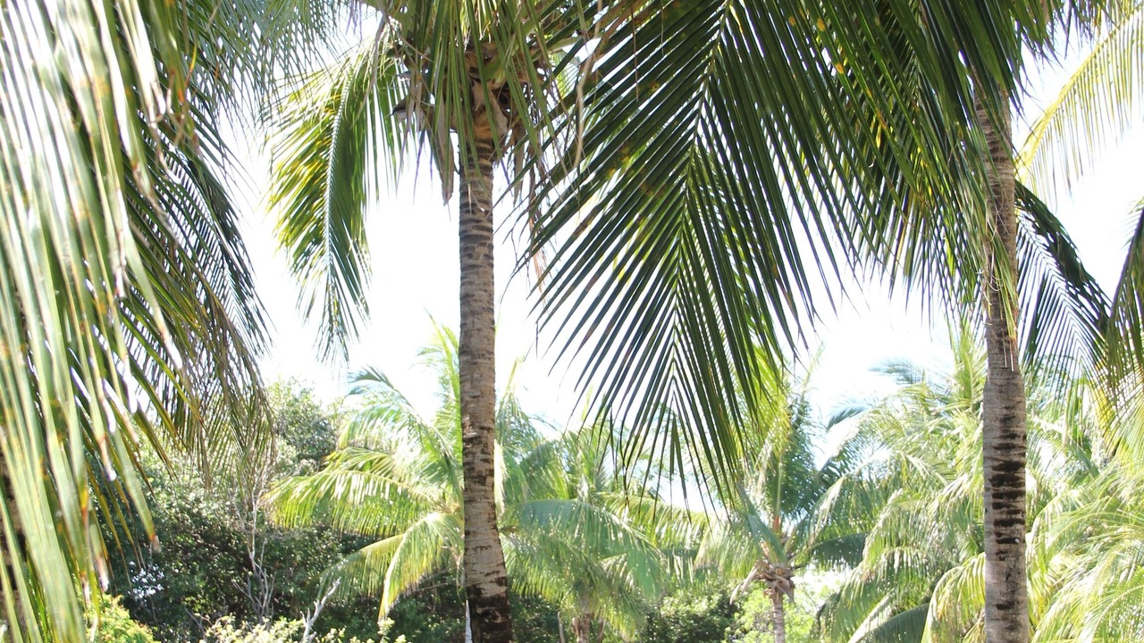 Photo of Outdoor in Zona Hotelera