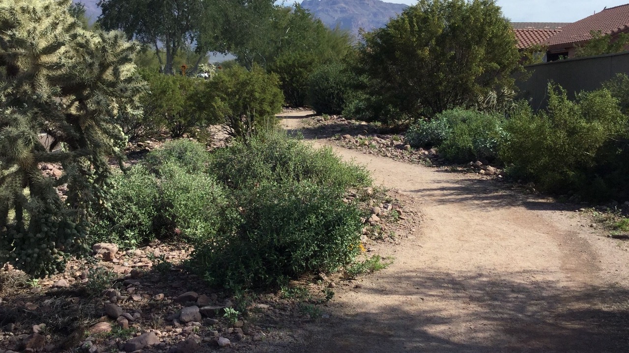 Photo of Others in Gold Canyon