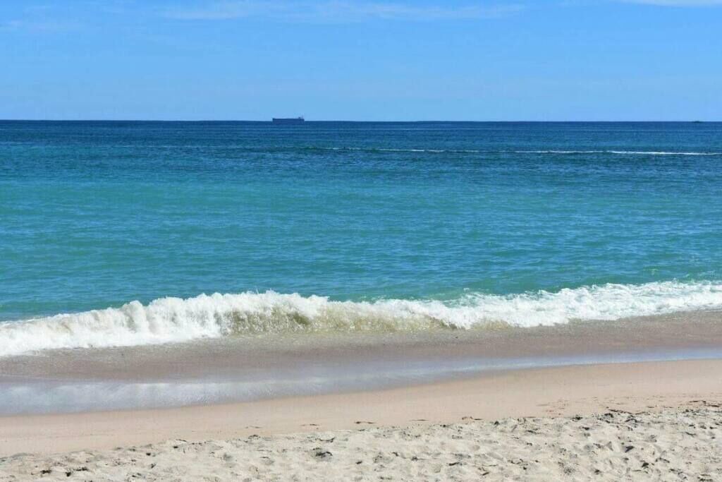 Photo of Others in Cabo Pulmo