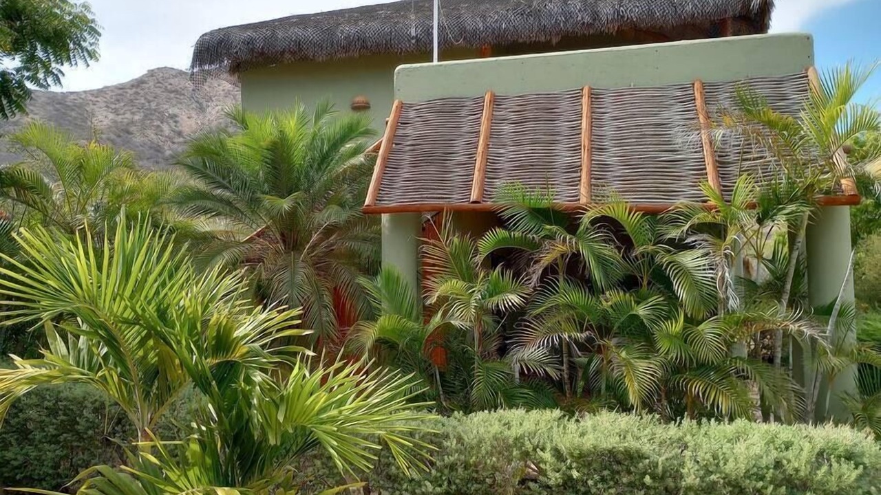 Photo of Others in Cabo Pulmo