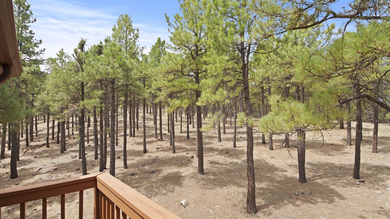 Photo of Outdoor in Fort Valley