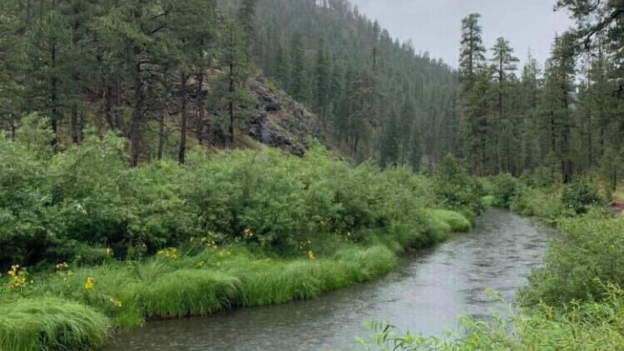 Photo of Others in Pinetop