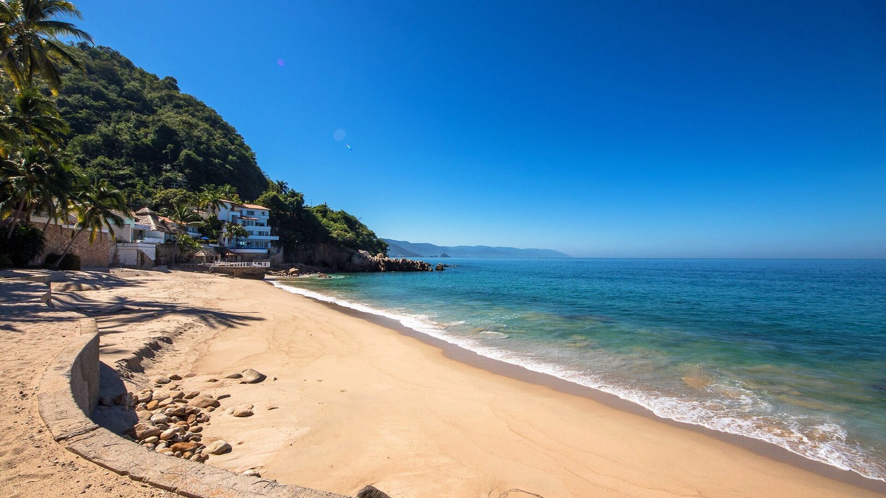 Photo of Others in Puerto Vallarta