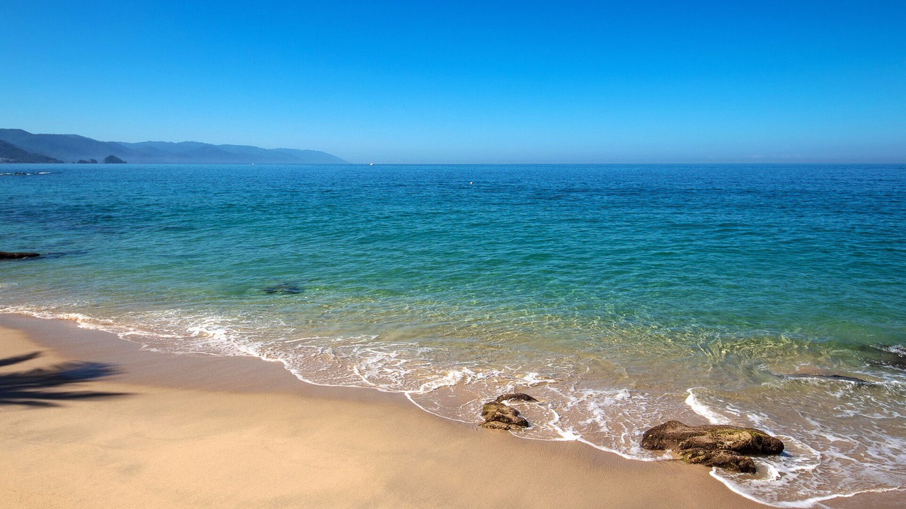 Photo of Others in Puerto Vallarta