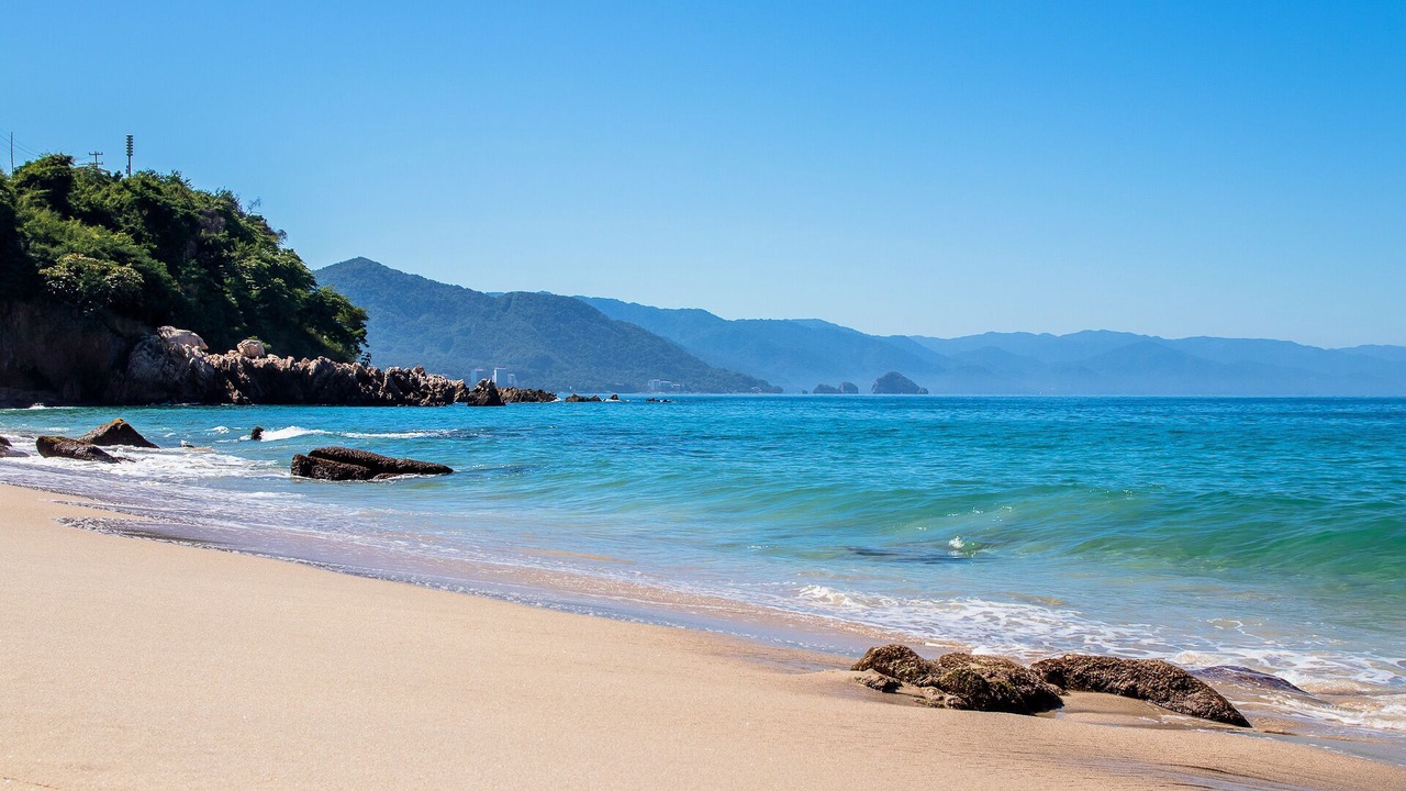Photo of Others in Puerto Vallarta