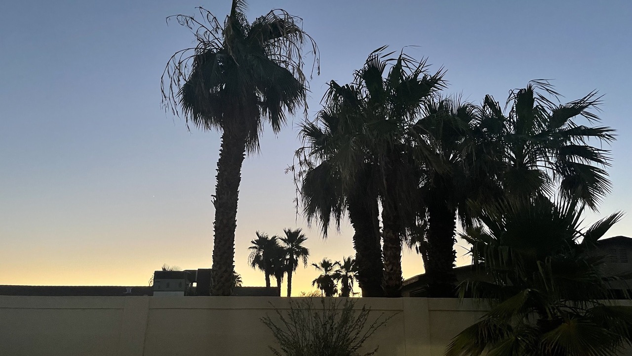 Photo of Others in Lake Havasu City