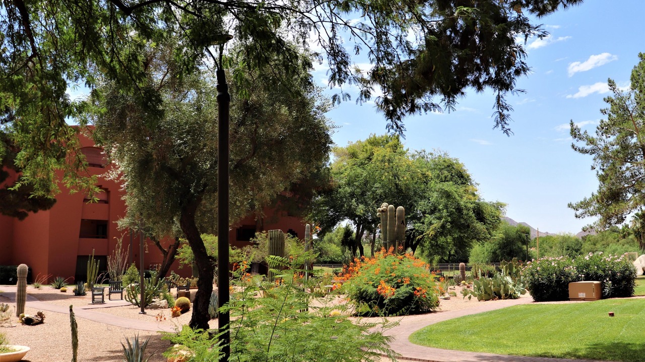 Photo of Others in Paradise Valley Village