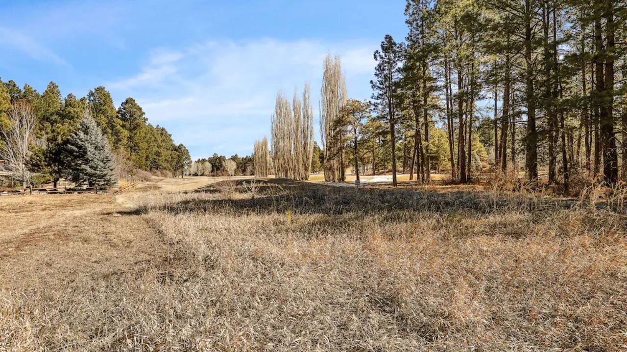 Photo of Others in Flagstaff
