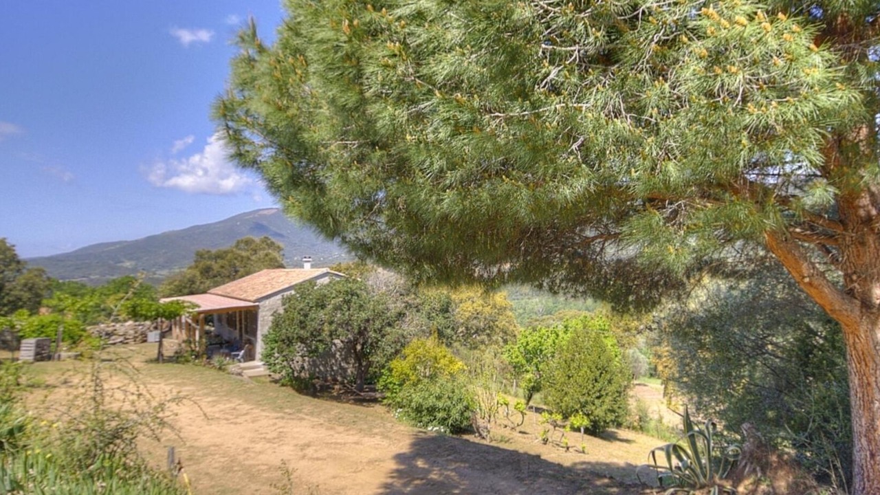 Photo of Outdoor in Sollacaro