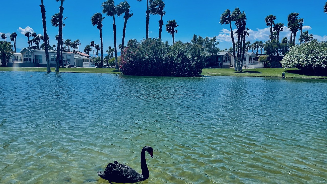 Photo of Outdoor in Desert Hot Springs
