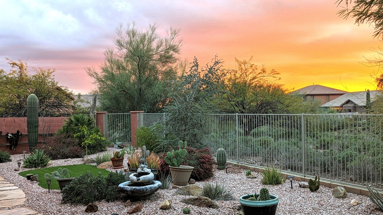 Photo of Outdoor in Gold Canyon