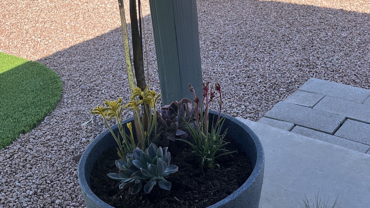 Photo of Outdoor in Rancho Del Cerro