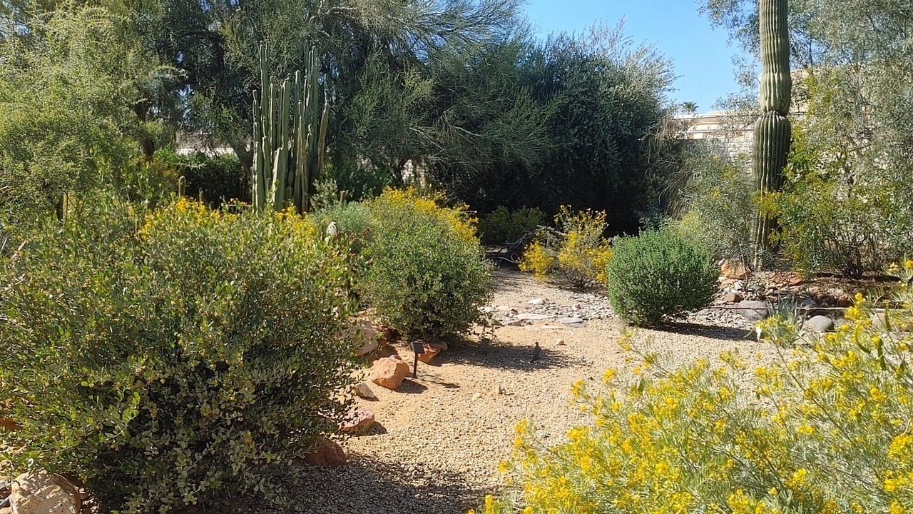 Photo of Outdoor in Sun City West