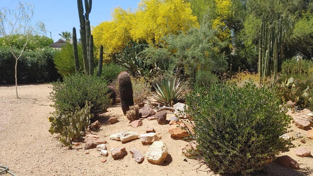Photo of Others in Sun City West