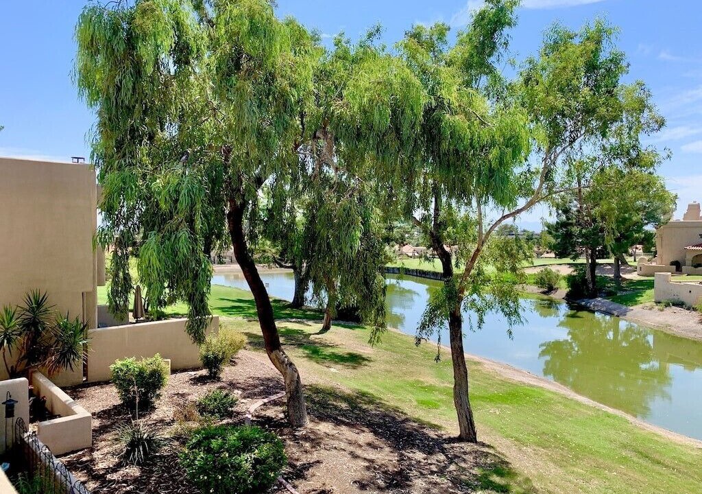 Photo of Outdoor in Biltmore Courts