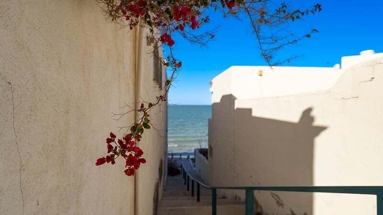 Photo of Others in San Felipe