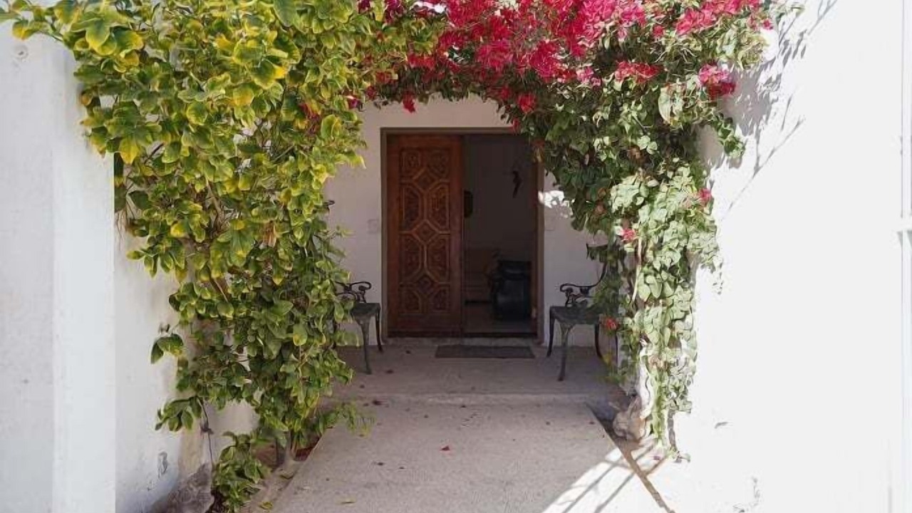 Photo of Outdoor in San Felipe