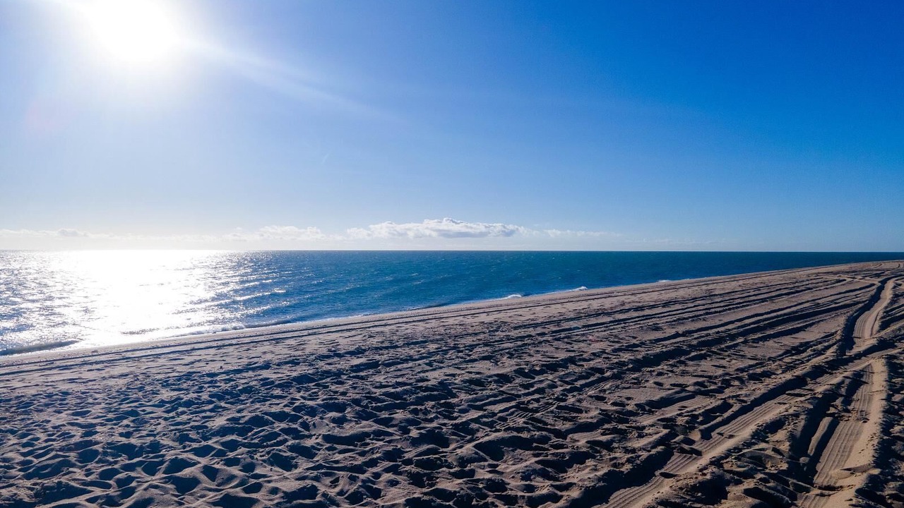 Photo of Others in San Felipe