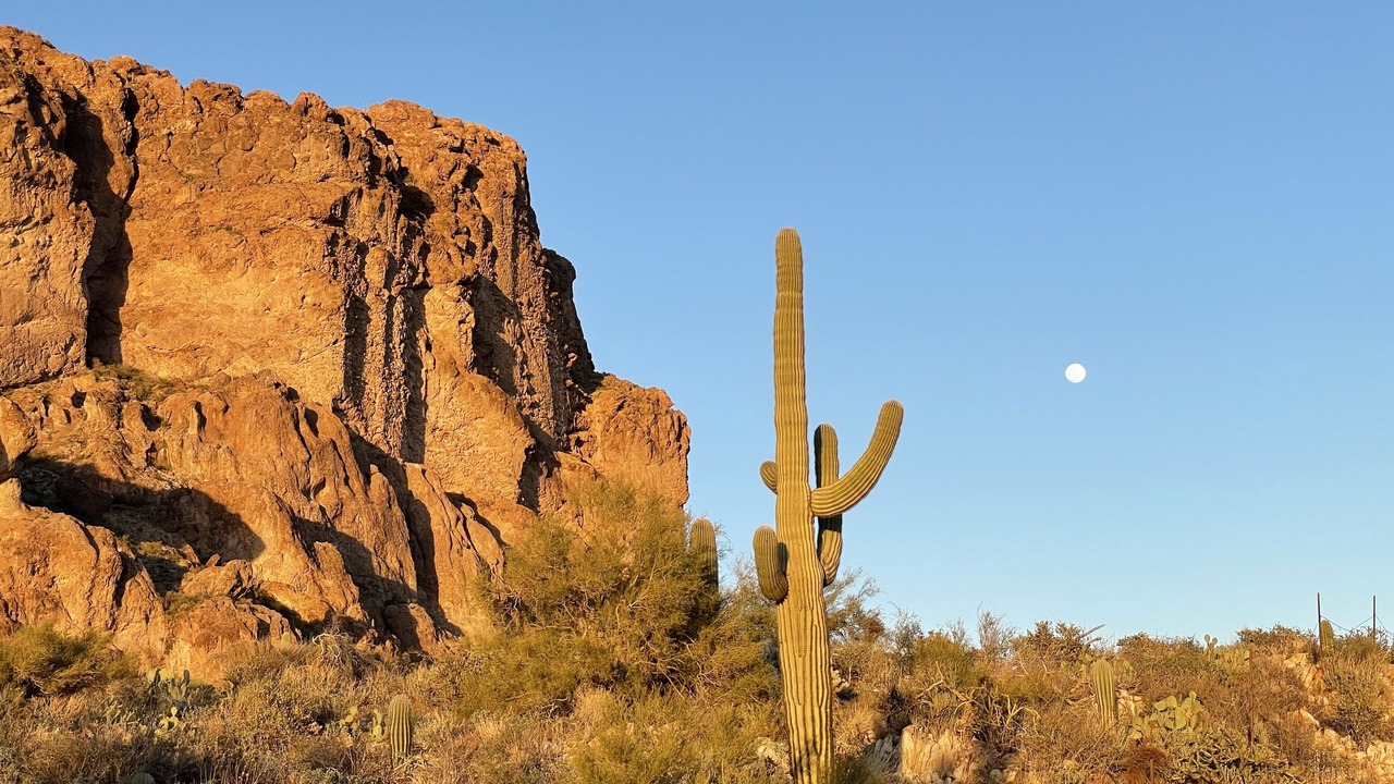 Photo of Others in Gold Canyon