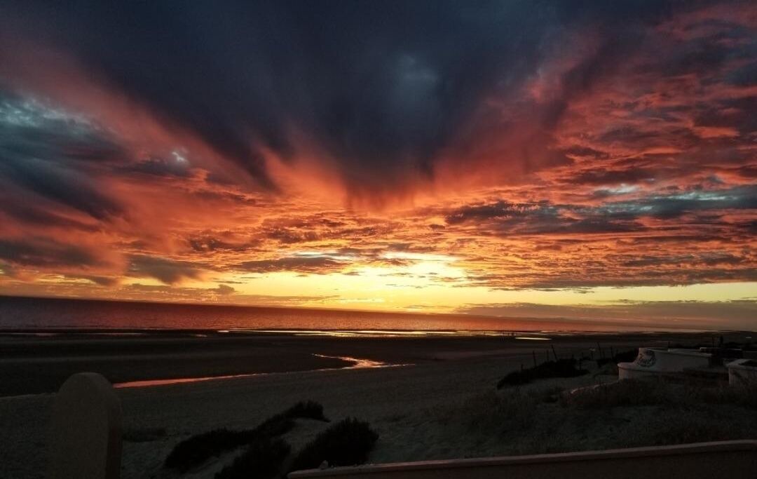 Photo of Others in Puerto Penasco