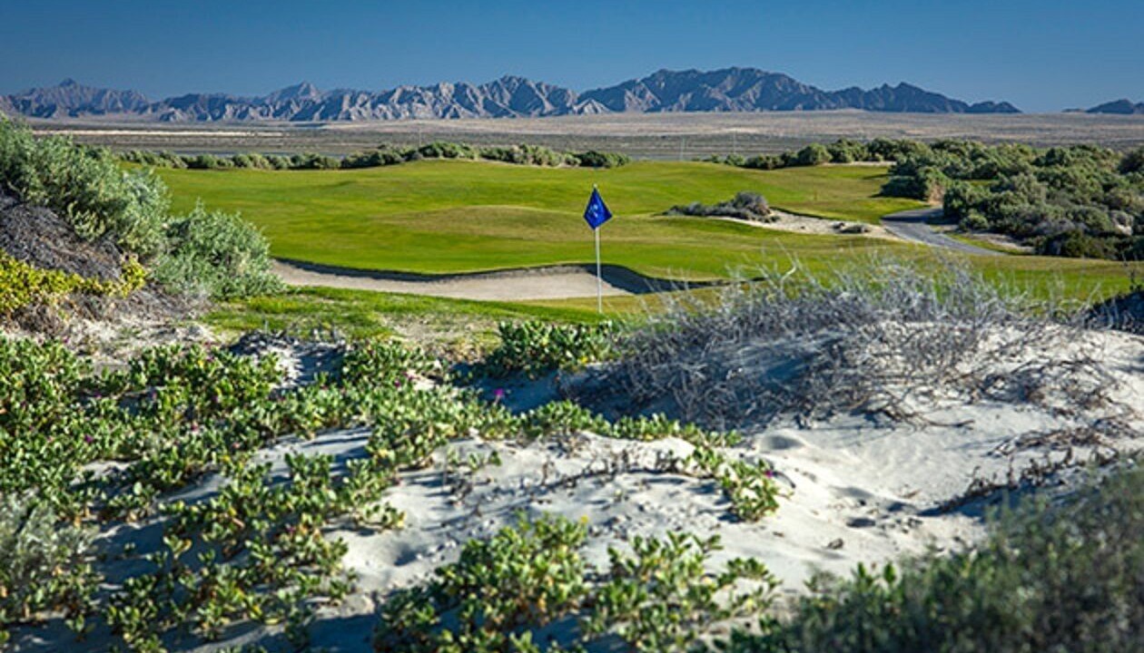 Photo of Others in Puerto Penasco