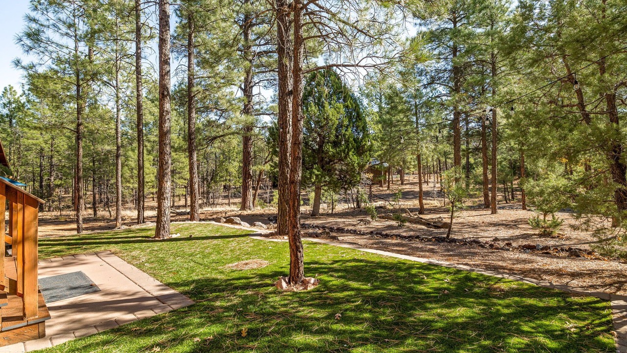 Photo of Outdoor in Torreon
