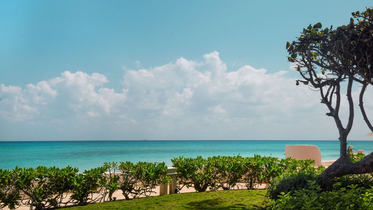 Photo of Others in Playacar Fase I