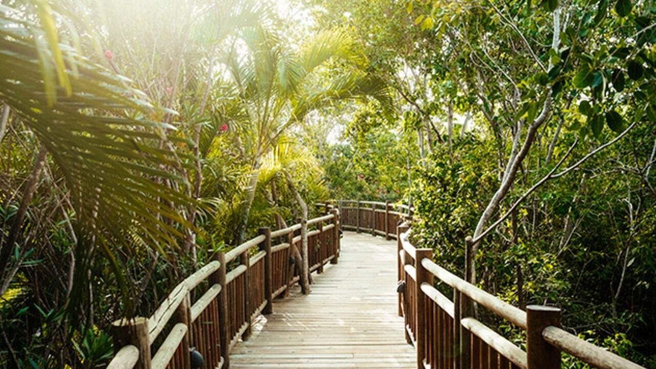 Photo of Outdoor in Mayakoba