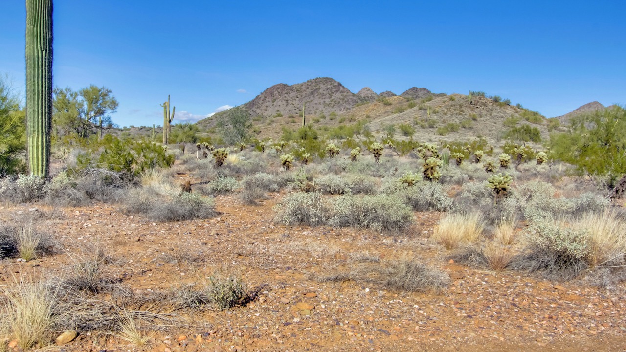 Photo of Others in Cave Creek