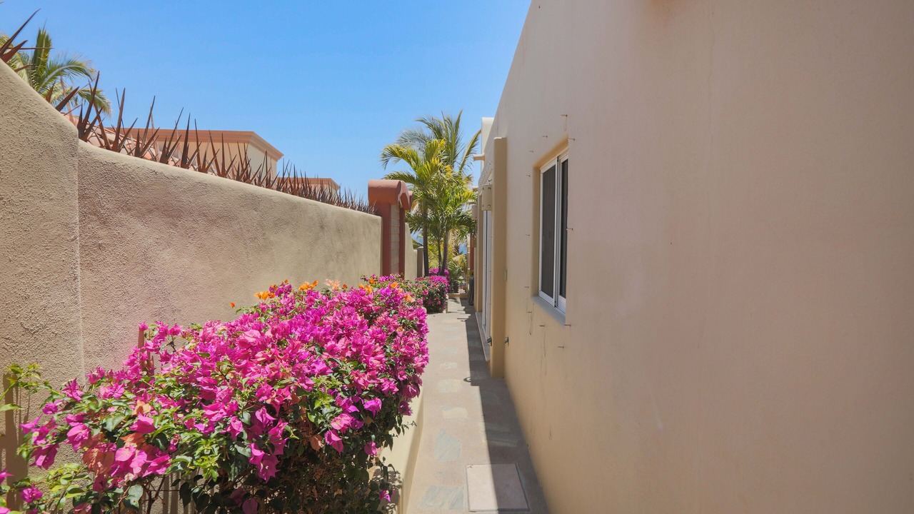 Photo of Outdoor in Pedregal