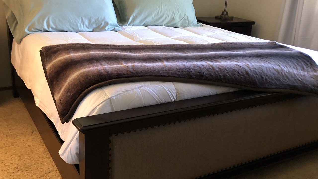 Photo of Bedroom in Torreon